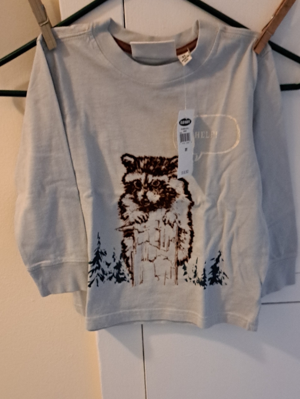 Old Navy Kids Light Blue Raccoon Graphic Long-Sleeve Tee